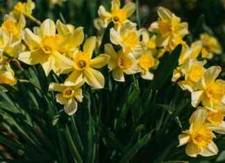 Påsköppettider på biblioteket och bokbussen news-13082024-011221