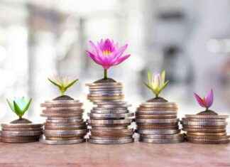 Varhaiskasvatusmaksun indeksikorotus – 1.8.2024 – Information & Guidelines news-13082024-014025