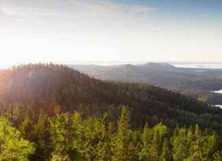Antti J. Jokinen regisserar film baserad på Kalevala i Norra Karelen news-13082024-014349
