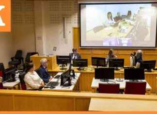 Thaimaalaispoimijoiden ja suomalaisten liikekumppaneiden marjanpoimintasyytteet käräjäoikeudessa news-13082024-014627