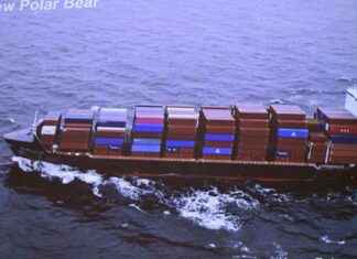 Kiina erkänner att deras fraktfartyg skadade gasledningen i Östersjön news-13082024-021542