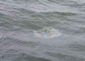 Undersökningar av den sänkta pansarkryssaren Ilmarinen fortsätter – målet att tömma vraket på olja nästa år. news-13082024-023050