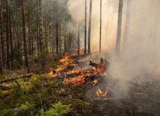 Metsäpalot Venäjällä: Vaikutukset Pohjois-Lappiin news-13082024-031849