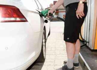 Prognos: Behovet av elbilar överskrider nuvarande politik news-15082024-134443