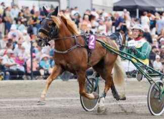 Metsärinteen Pommi och Vale-Elli kvalificerar sig för Derby-finalen − Hannu Hietaselta tre deltagare news-15082024-200954
