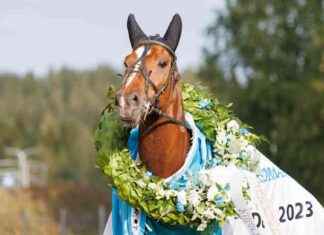 Vilken häst vinner Derbyn? news-19082024-130614