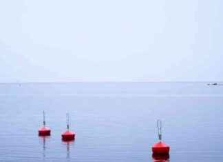 Jordskred drabbade Phukets semesterort, minst fem döda news-23082024-104221