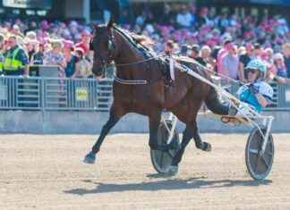 Fransesco Zet vinner Sundsvall Open Trot med ME-tid från ledningssidan news-25082024-104951