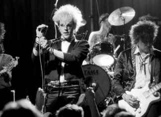 Levoton Tuhkimo: Dingosta kertova elokuva – Ensi-ilta joulupäivänä news-28082024-231234