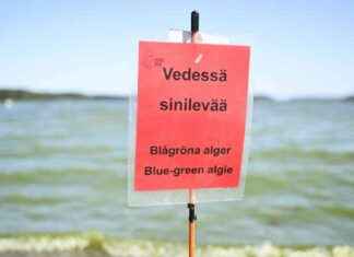 Havaitseminen av sinilevää på kust- och havsområden under sommaren news-29082024-111501