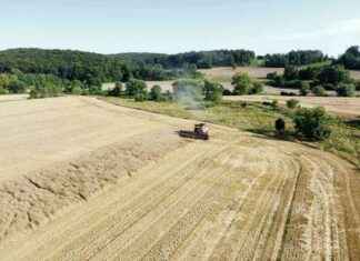 Hiiliviljelyprojektet på arrendemarkerna i Mellersta Nylands kommuner – startar nu news-30082024-232122