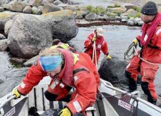 700 kilo skräp samlades in från skärgårdens nationalpark – överraskningar avslöjades news-01092024-232614
