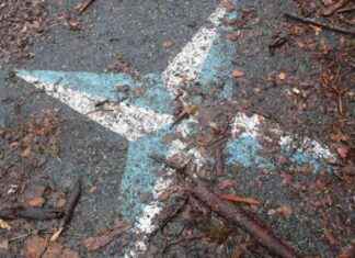 Finansiering för 13 projekt i EAKR- och JTF-ansökningar – Pohjois-Karjalan maakuntaliitto news-01102024-012211