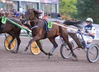 Miljardbesparingar: Var fokuseras de? – Regeringen samlas för budgetmöte på tisdag news-02092024-112717