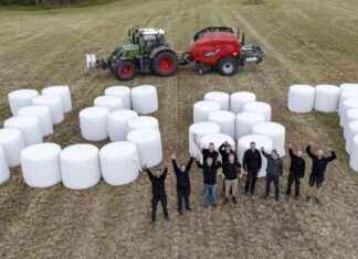 Rekord i Sverige: över 1 500 dinosaurieägg palades på en dag news-10092024-005703