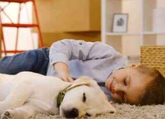 Nya tomter till salu i Rajamäen Kylänpää news-10092024-063016