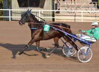 Finalisterna för Wildman Mare Trotting Race avgörs i Lappeenranta news-10092024-090402
