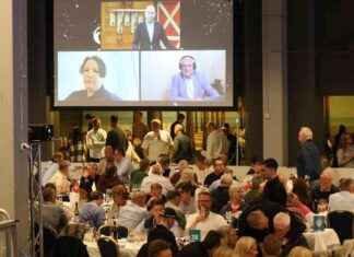 Ruotsalainen hevoshuutokauppa yhdistää Pohjoismaat – Suomalaiset hevoset myyntiin news-10092024-143548