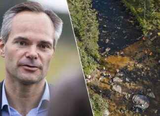 Ingen ersättning för kvarlämnad skog i skyddszoner: Det är en fråga mellan trähandelsparterna news-10092024-174246