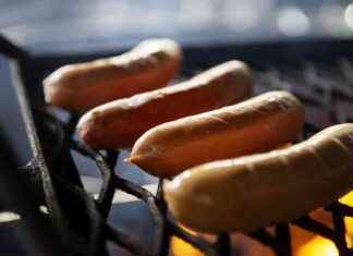 Varför är korv det ultimata utflyktsmålet? news-13092024-025710