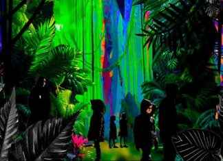 Galleria Ville: En färgstark och magisk sagovärld för hela familjen news-13092024-110232