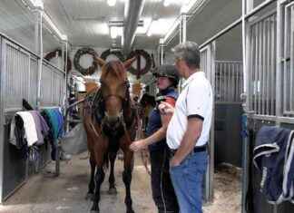 Jukka Hakkarainen om vikten av tid för hastigheten – MT Hevoset news-13092024-150500