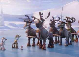 Niko – Maaseudun Tulevaisuuden kolumnisti äänenä jouluklassikossa news-16092024-215406