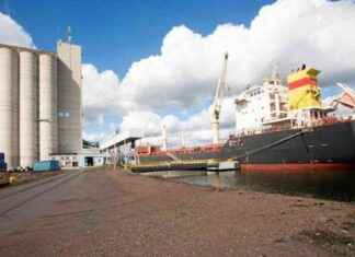 Viljelijän parhaat keinot riskien tasaamiseksi – vinkit markkinoiden armoille news-18092024-073223