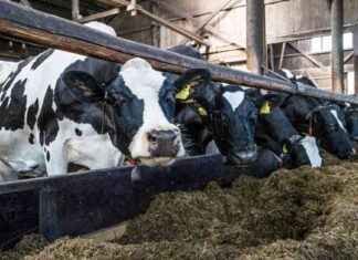 Investeringar på gårdar fortsätter – stöd för start godkända antyder positiv förändring news-20092024-071814