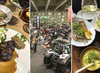 Ravintola- ja jatkopaikkavinkit Helsingin konemessuille news-21092024-203637