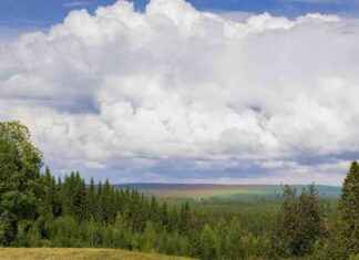 Sällsam fenomen: Regnbåge spred ut som ett färgmatt över skogsmiljön news-22092024-004113