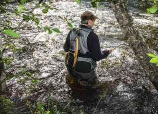 Fördelar och nackdelar med Pyydä ja päästä -fiske news-22092024-044312