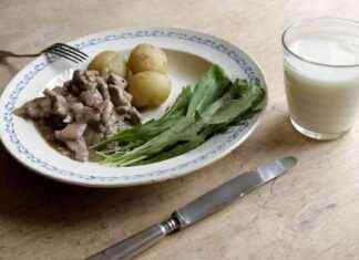 Proteiner från kött och mjölk kan minska tarmtumörer – Studie news-22092024-165056