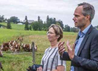 Korvaukset maksettava: Ministeri Essayah eri linjoilla raakkusuojelusta news-23092024-085904