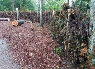 Lahopuutarha – Stödjer naturens mångfald i Näin Nurmijärvi news-24092024-100242