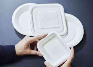 Puupohjaiset pakkaukset valmiina täysimittaiseen tuotantoon Äänekoskella news-24092024-142451