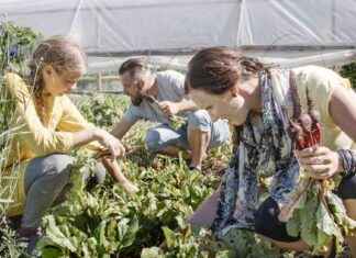 Hitta småproducenter med en nationell app – en lösning för vanliga konsumenter? news-24092024-182619