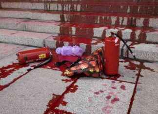 Näin Neova bemöter aktivisternas kritik news-26092024-001123