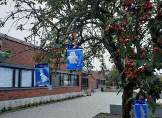 Heijastinpäivä 1.10: Hängslen ska hissas – årliga reflektordagen firas news-26092024-172311