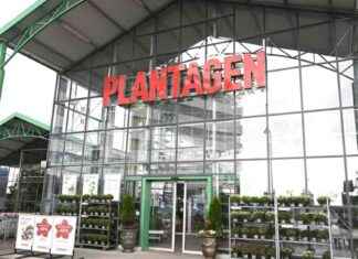 Plantagen i konkurs – vad hände med de kända trädgårdsbutikerna i Finland? news-30092024-131836