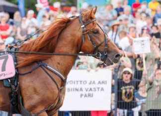 V.G. Vinna enkelt över inhemska och utländska motståndare: Läsarnas undersökningsresultat news-05102024-092126