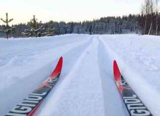 Ansökan om bidrag för skidspår i skogen och byn fram till den 29 november 2024 – Kuusamo news-09102024-122741