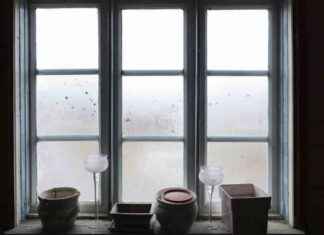 Fakta eller myt: Skatt på fönsterantal i historien news-13102024-010221