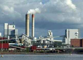 Hållbarhet: En viktig aspekt för metsäteollisuuden framtid news-13102024-194445