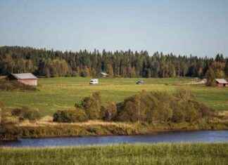 Talonpoika ja metsänomistaja: Avain maailman pelastamiseen news-15102024-200555