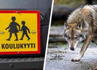 Sudet på flera kommuners möteslistor – ministeriet får post news-16102024-022020