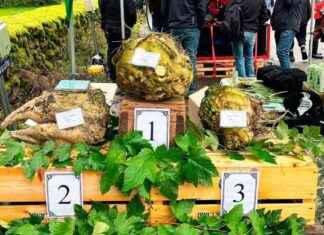 Jätten i Harjavalta: En gåtfull historia news-19102024-205803