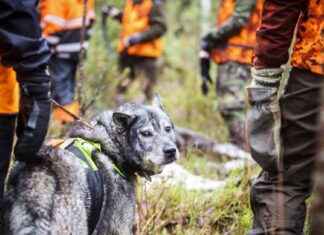 En dag med givande upplevelser trots förgäves väntan news-23102024-213128