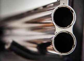 Mordmisstankar efter jakttvist – minst två döda i Österrike news-28102024-162107