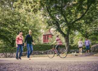 Hyvinvointia yhdessä: Kierros alkaa Perttilän koululta – Lohja news-28102024-162139